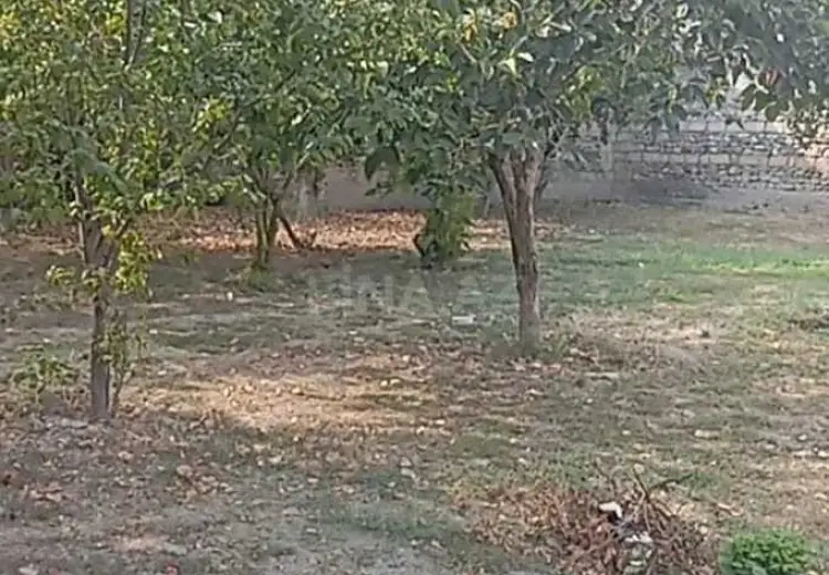 8 sot Torpaq Satılır, Göyçay