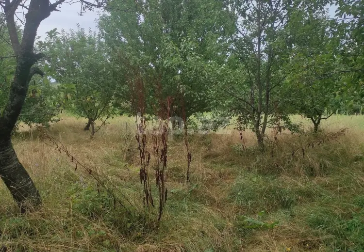 0 m² Obyekt / Ofis , Qusar