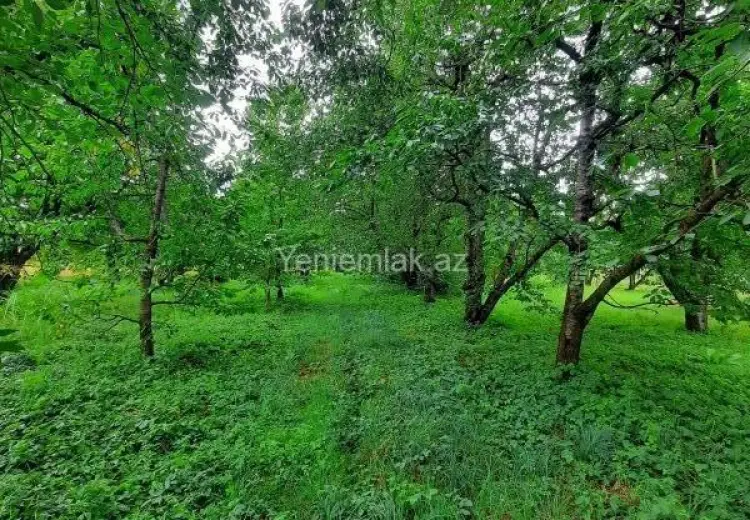 36 sot Torpaq Satılır, Quba