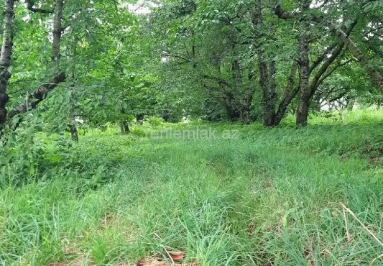 36 sot Torpaq Satılır, Quba