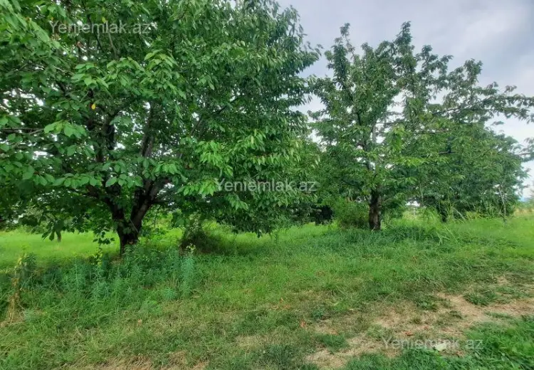 36 sot Torpaq Satılır, Quba