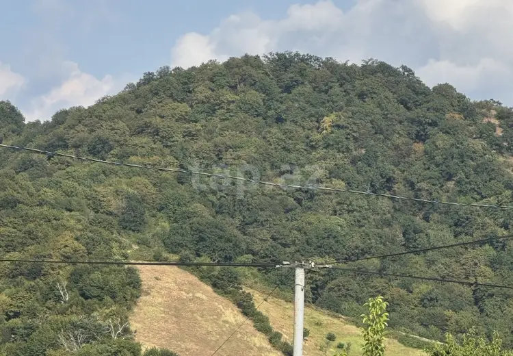 0 m² Obyekt / Ofis , Qəbələ