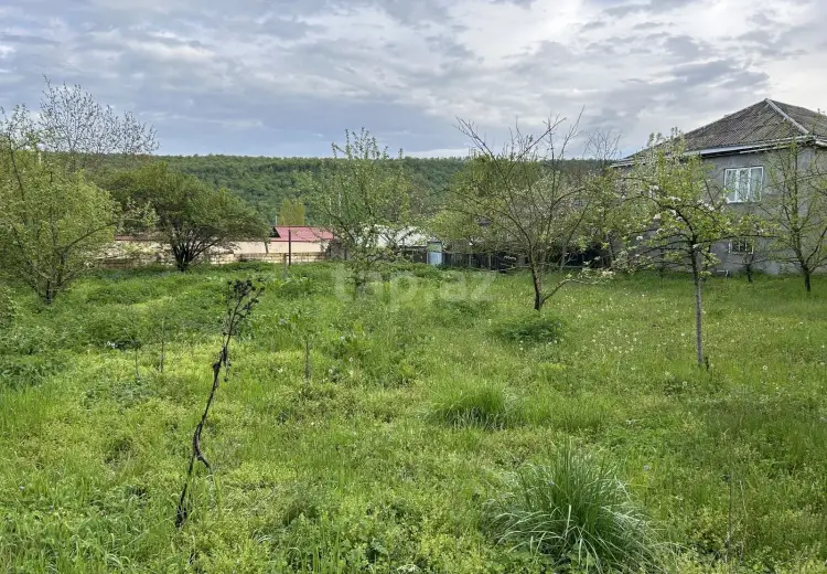 0 m² Obyekt / Ofis , Qusar