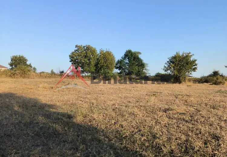 21 sot Torpaq Satılır, Qəbələ
