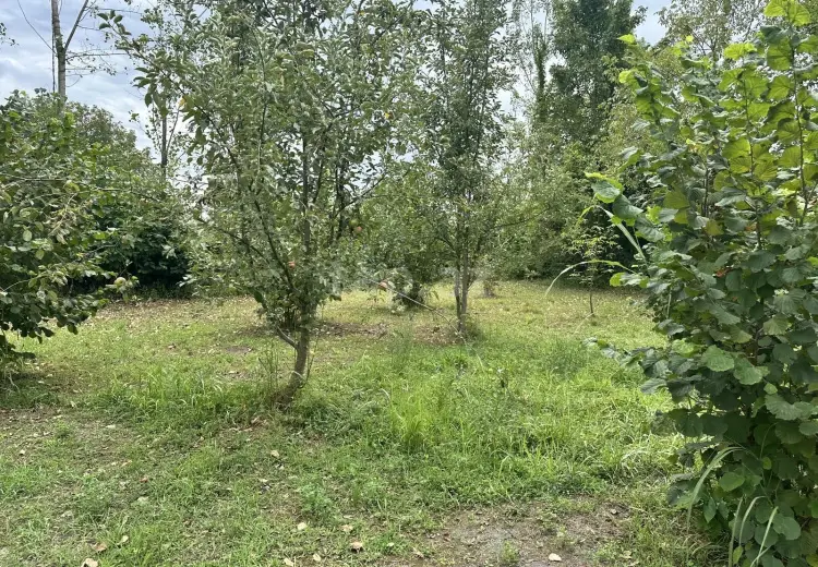 0 m² Obyekt / Ofis , Qəbələ