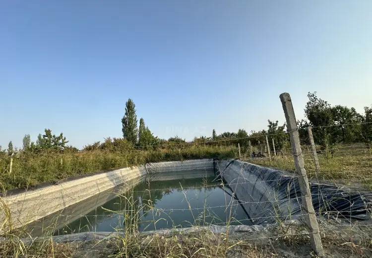 200 sot Torpaq Satılır, Xaçmaz