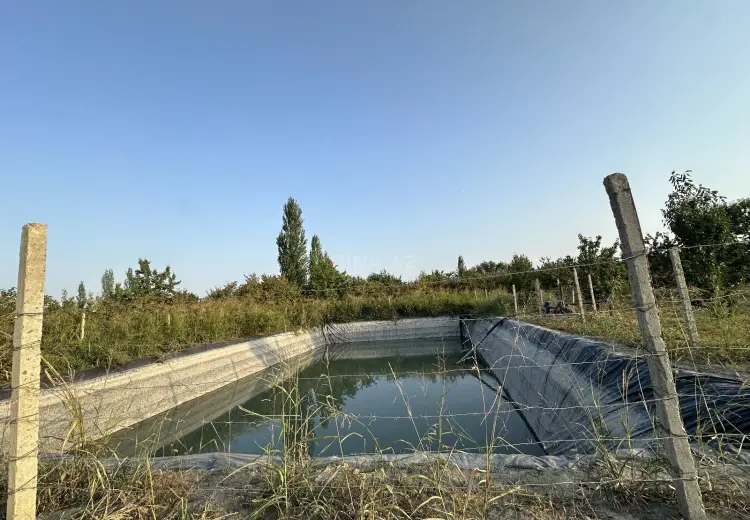 200 sot Torpaq Satılır, Xaçmaz