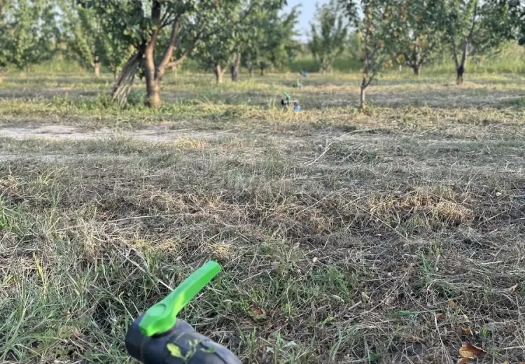 200 sot Torpaq Satılır, Xaçmaz