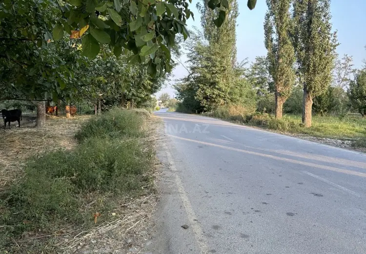 200 sot Torpaq Satılır, Xaçmaz