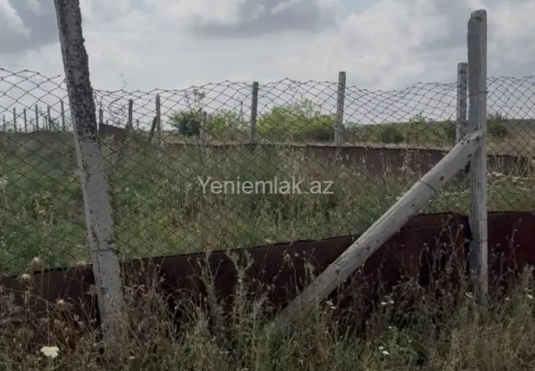 12 sot Torpaq Satılır, Şamaxı