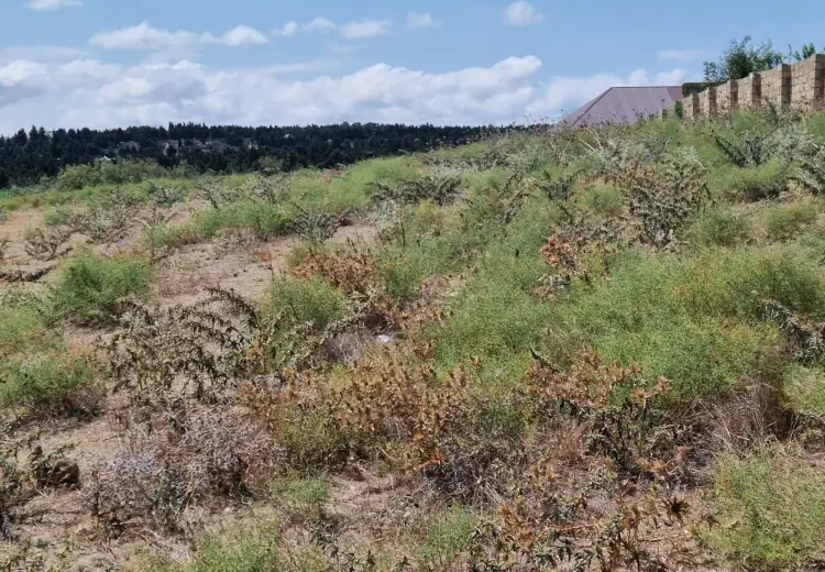 200 sot Torpaq Satılır, Digah, Abşeron