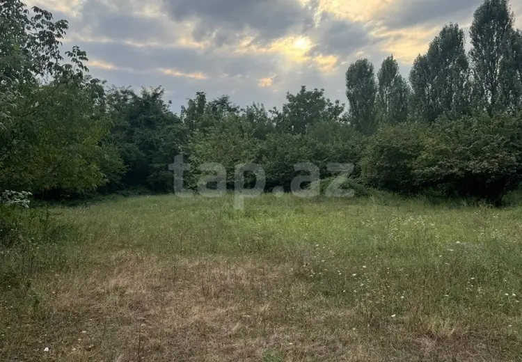 0 m² Obyekt / Ofis , Qəbələ