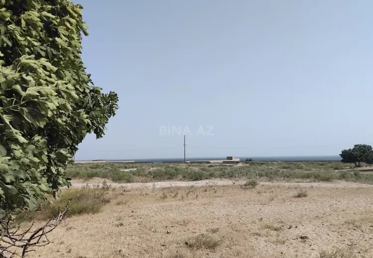 60 sot Torpaq Satılır, Türkan, Xəzər, Bakı
