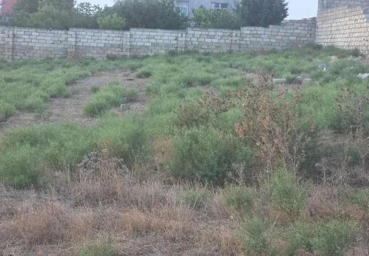 8 sot Torpaq Satılır, Fatmayı, Abşeron