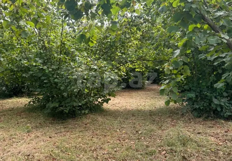 0 m² Obyekt / Ofis , Oğuz