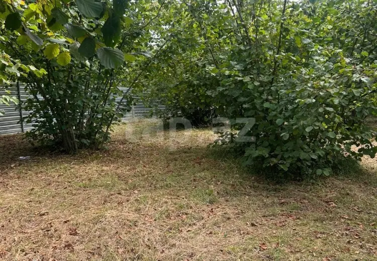 0 m² Obyekt / Ofis , Oğuz