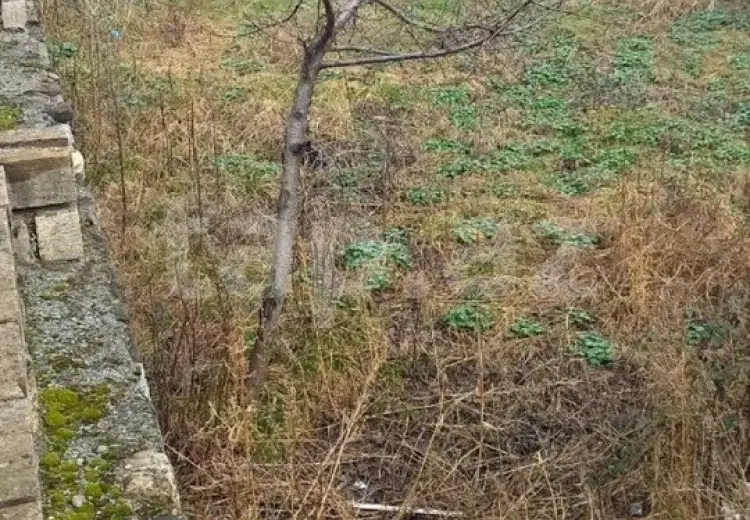 0 m² Obyekt / Ofis , Şəki