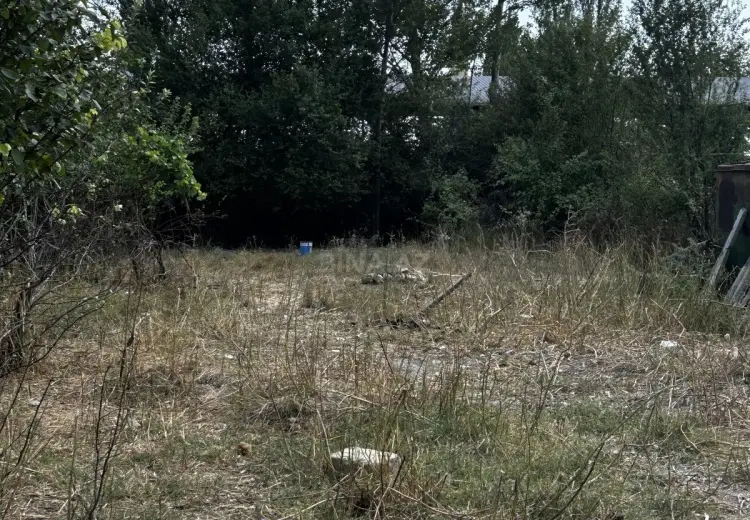 160 sot Torpaq Satılır, Şamaxı