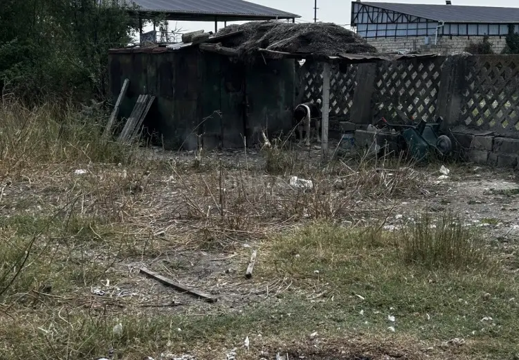 160 sot Torpaq Satılır, Şamaxı