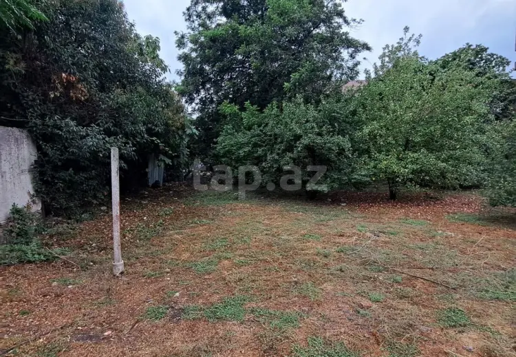 0 m² Obyekt / Ofis , Lənkəran