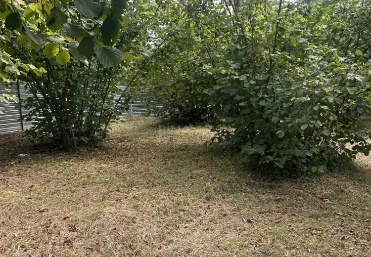 52 sot Torpaq Satılır, Oğuz