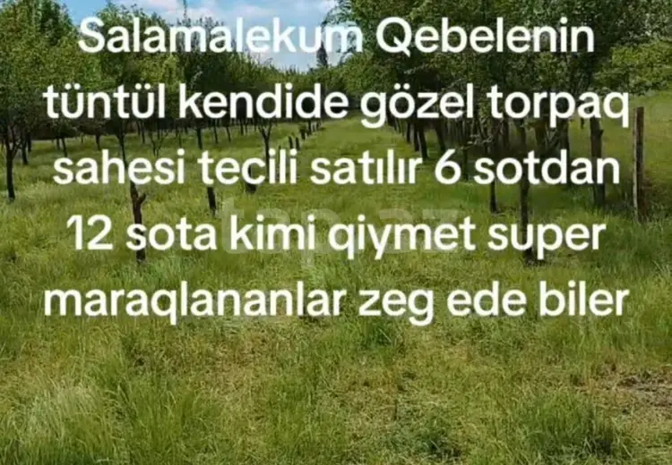 0 m² Obyekt / Ofis , Qəbələ