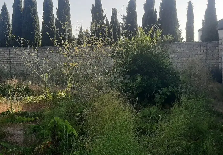 6.3 sot Torpaq Satılır, Məştağa qəs., Sabunçu, Bakı