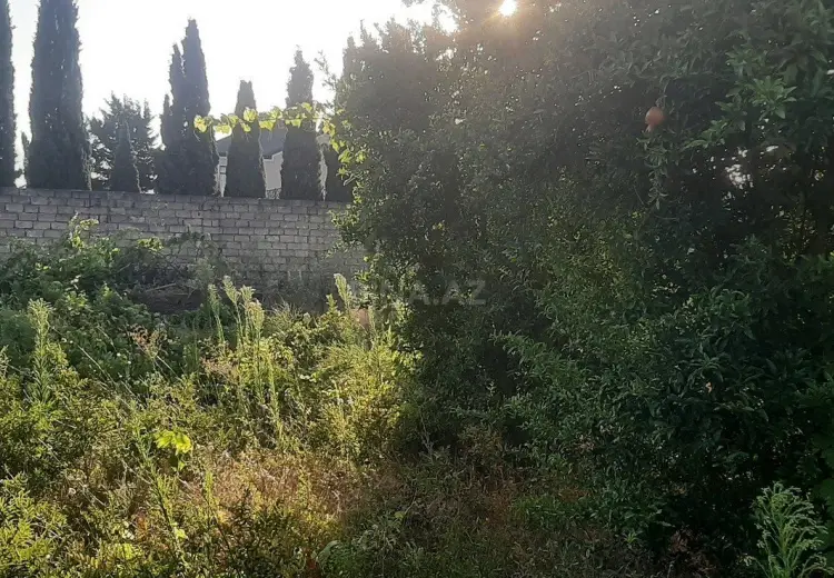 6.3 sot Torpaq Satılır, Məştağa qəs., Sabunçu, Bakı
