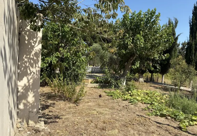 12 sot Torpaq Satılır, Fatmayı, Abşeron