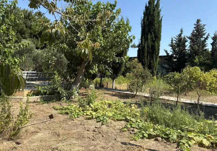 12 sot Torpaq Satılır, Fatmayı, Abşeron