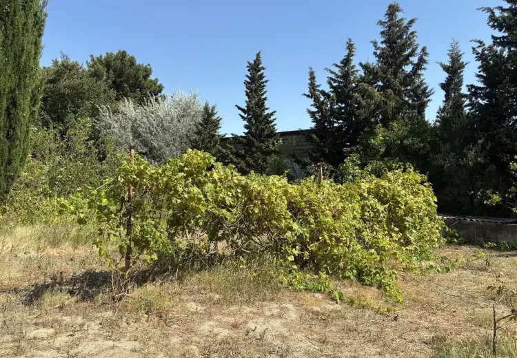 12 sot Torpaq Satılır, Fatmayı, Abşeron
