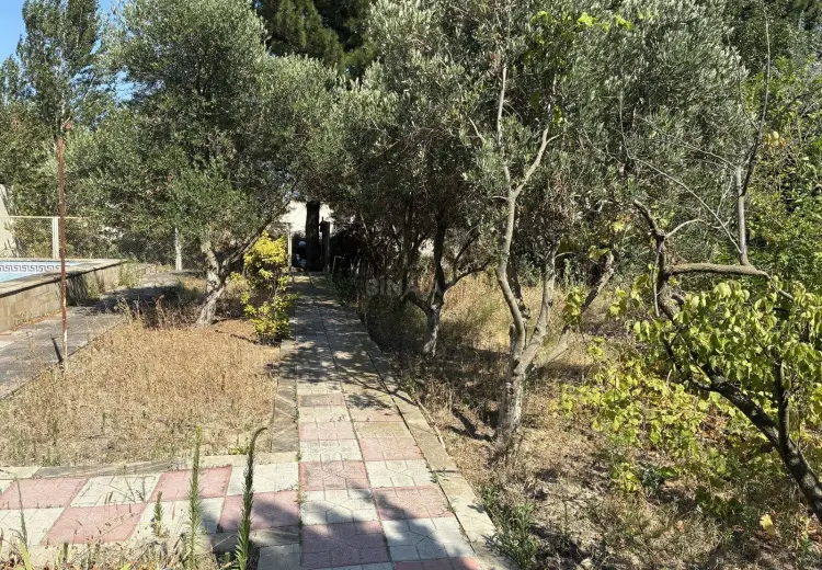 12 sot Torpaq Satılır, Fatmayı, Abşeron