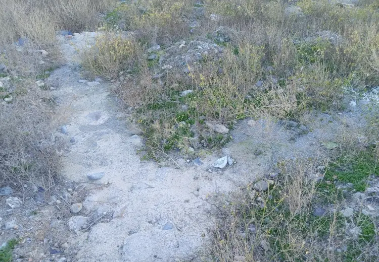 0 m² Obyekt / Ofis , Gəncə