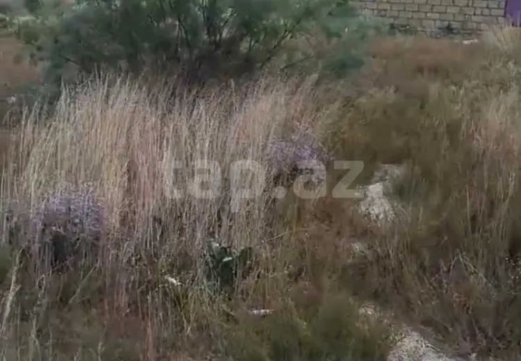 0 m² Obyekt / Ofis , Ramana qəs., Sabunçu, Bakı