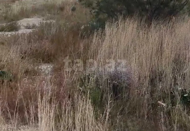 0 m² Obyekt / Ofis , Ramana qəs., Sabunçu, Bakı