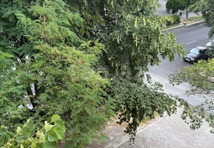 3 otaqlı mənzil , Şəki