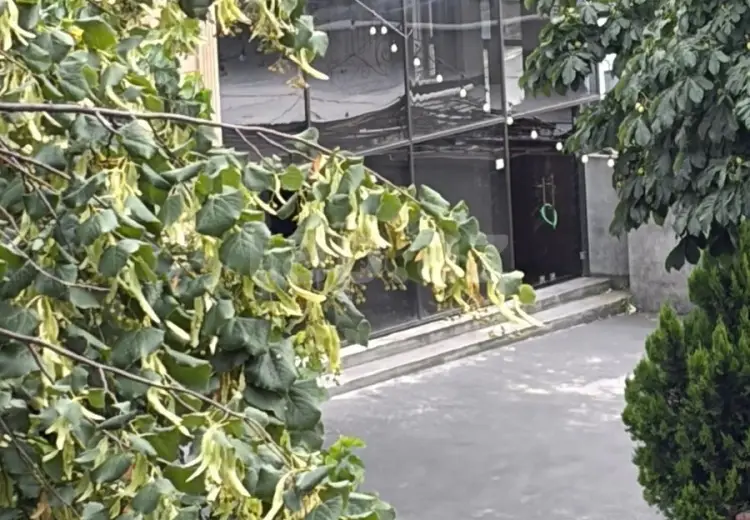 3 otaqlı mənzil , Şəki