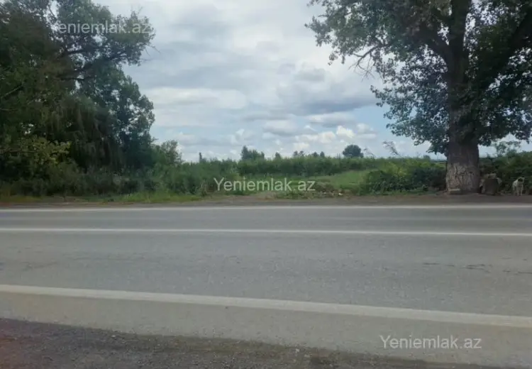 244 sot Torpaq Satılır, Quba