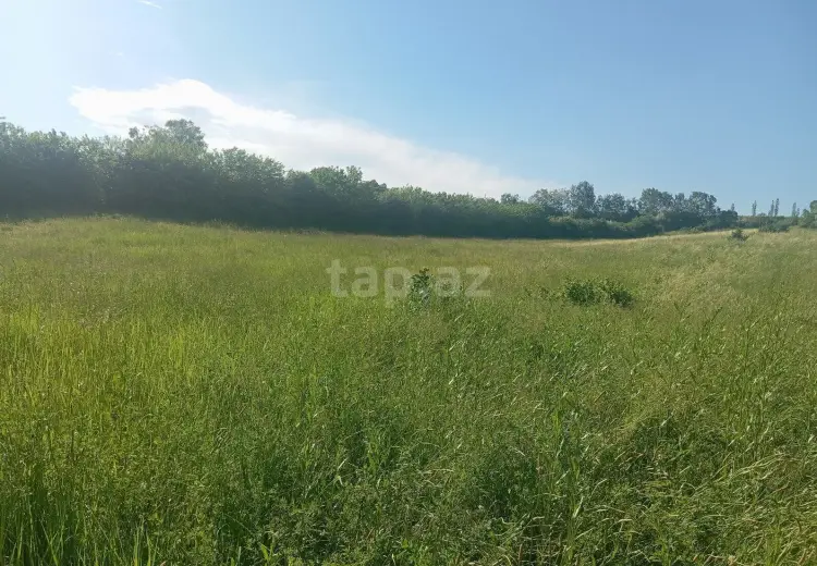0 m² Obyekt / Ofis , Qusar