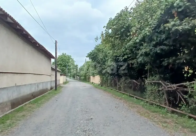 0 m² Obyekt / Ofis , Zaqatala