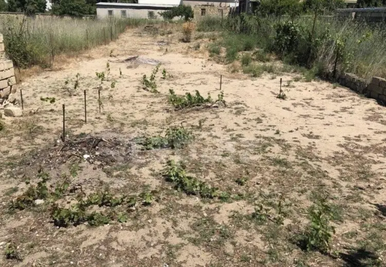 6 sot Torpaq Satılır, Novxanı, Abşeron