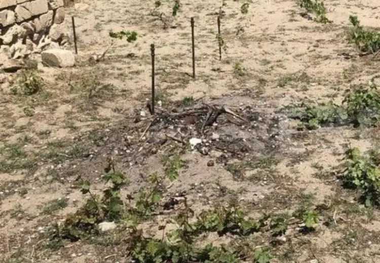 6 sot Torpaq Satılır, Novxanı, Abşeron