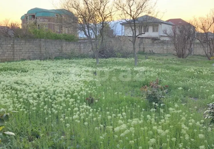 0 m² Obyekt / Ofis , Saray, Abşeron