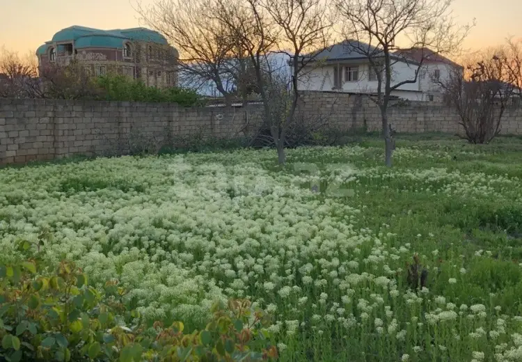 0 m² Obyekt / Ofis , Saray, Abşeron