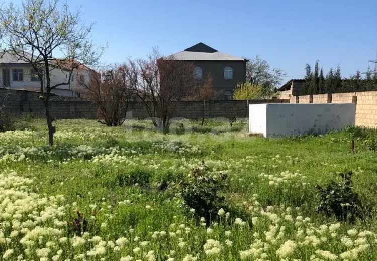 0 m² Obyekt / Ofis , Saray, Abşeron