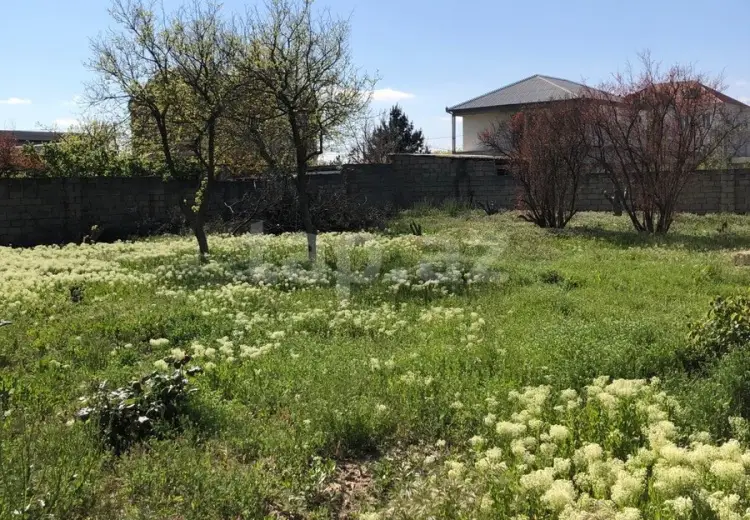 0 m² Obyekt / Ofis , Saray, Abşeron