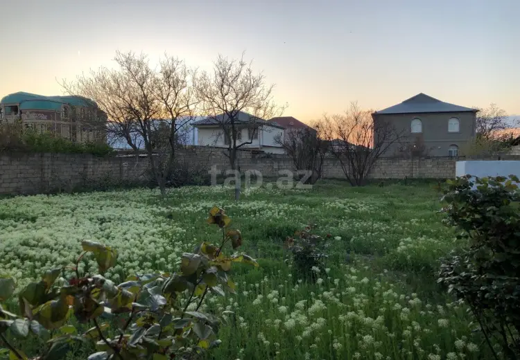 0 m² Obyekt / Ofis , Saray, Abşeron