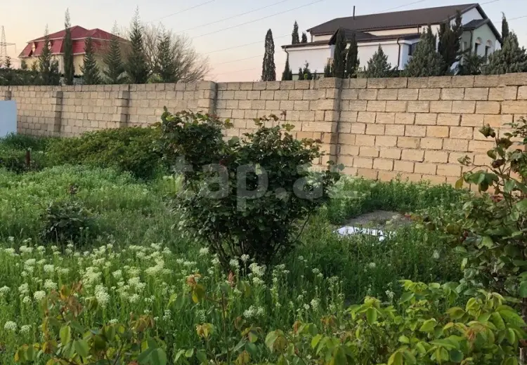 0 m² Obyekt / Ofis , Saray, Abşeron