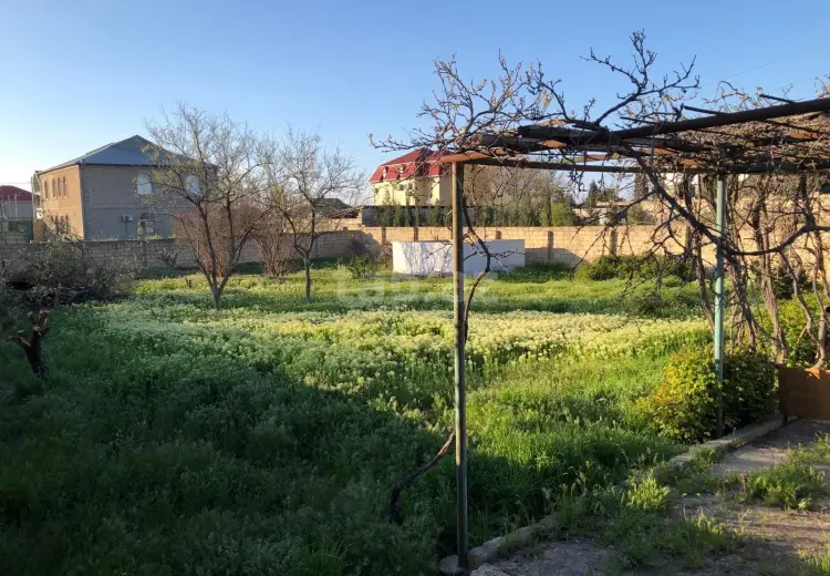 0 m² Obyekt / Ofis , Saray, Abşeron
