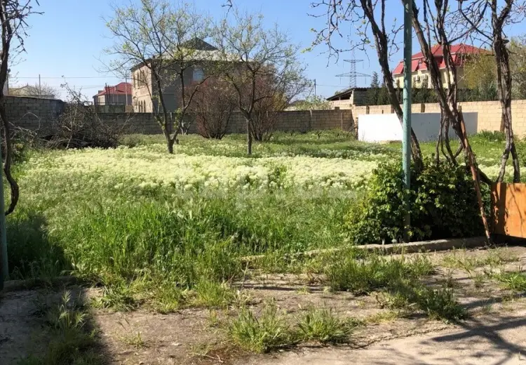 0 m² Obyekt / Ofis , Saray, Abşeron